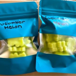 Bath and Body Works Cucumber Melon candle wax melts